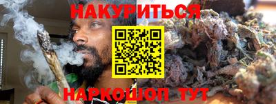 крисы Брянск